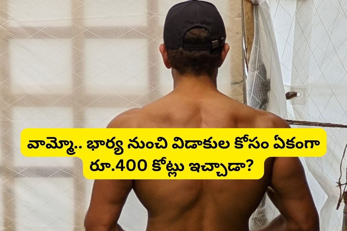 నాగచైతన్య, ధనుష్ కాదు..ఇండియాను శాసించే ఈ హీరో విడాకుల కోసం భార్యకు రూ.400కోట్లు ఇచ్చాడు