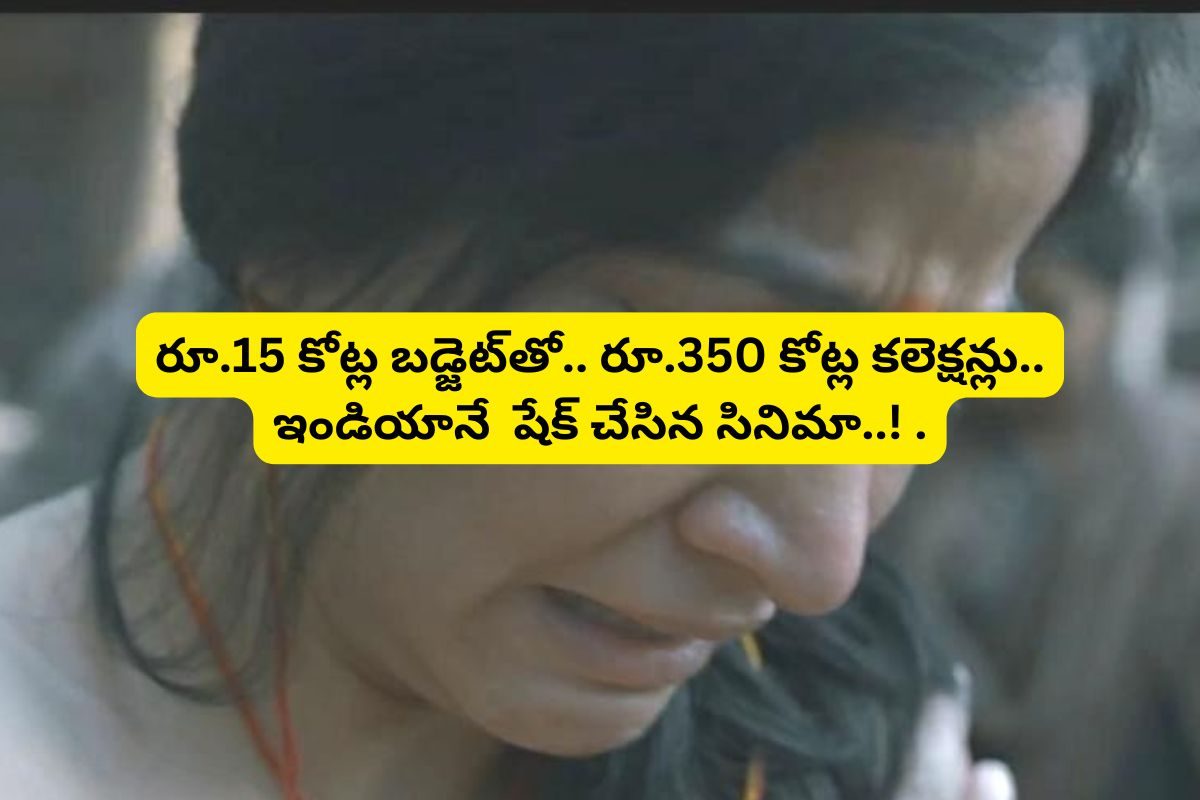 బడ్జెట్ రూ.15 కోట్లు.. కలెక్షన్లు రూ.350 కోట్లు.. ఇండియాలో అత్యధిక లాభాల సినిమా ఇదే..!