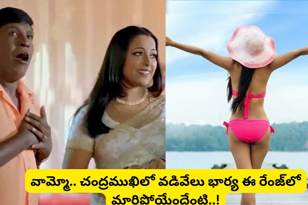 చంద్రముఖి సినిమాలో వడివేలు భార్య గుర్తుందా?... ఇప్పుడెలా ఉందో చూస్తే ఫ్యూజుల్ అవుట్ మామ..!