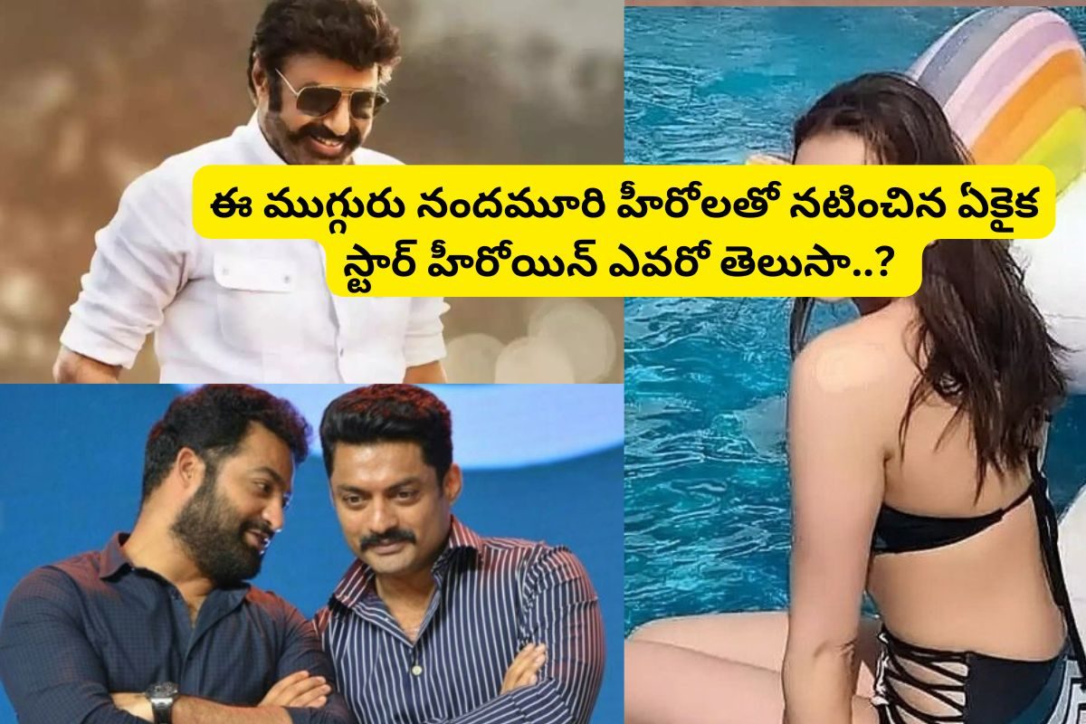 బాలకృష్ణ, ఎన్టీఆర్, కళ్యాణ్ రామ్‌ల పక్కన నటించిన.. ఏకైక తెలుగు స్టార్ హీరోయిన్ ఎవరో తెలుసా
