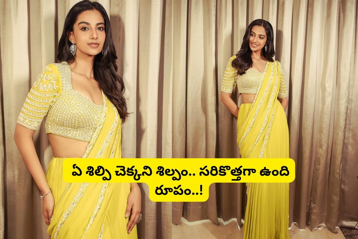 పసుపు రంగు చీరలో పిచ్చెక్కిస్తున్న మీనూ.. బాబోయ్ ఇదేక్కడి పరువాల విందురా మామ..!