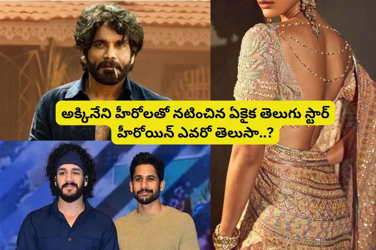 నాగార్జున, నాగ చైతన్య, అక్కినేని అఖిల్‌‌.. ఈ ముగ్గురు హీరోలతో కలిసి నటించిన ఏకైక స్టార్..!