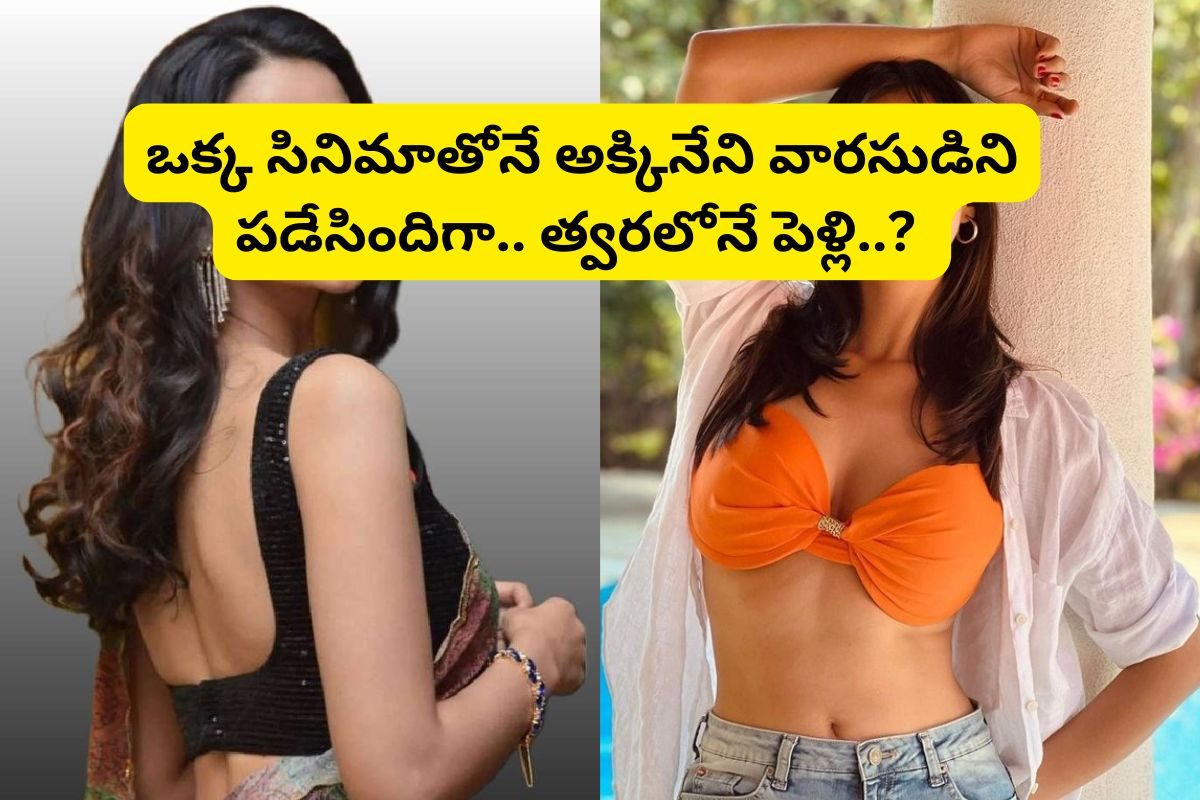 అక్కినేని కోడలుగా మరో తెలుగు స్టార్ హీరోయిన్.. ఒక్క సినిమాతోనే పడేసిందిగా.. పెళ్లి కూడా..!