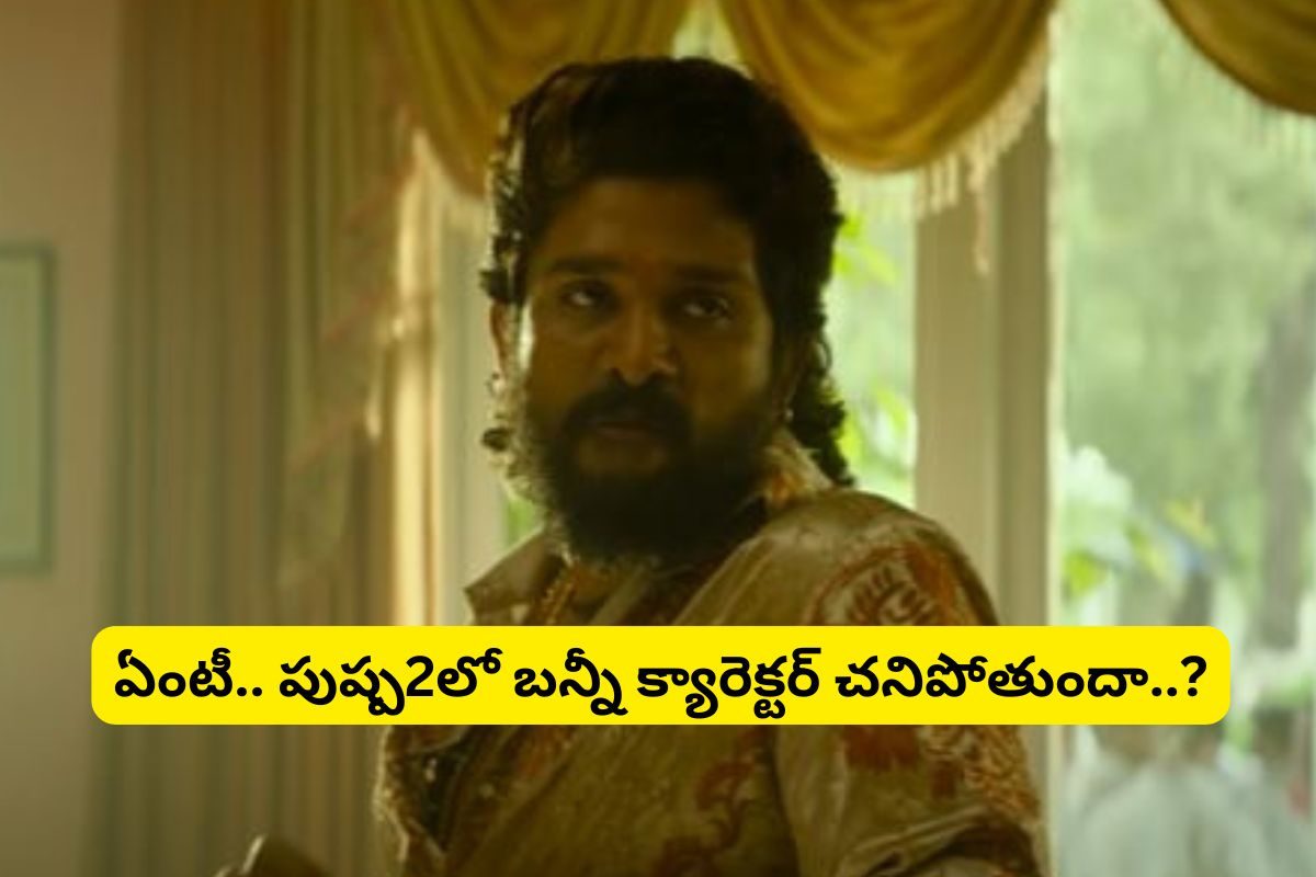 'పుష్ప-2'లో అల్లు అర్జున్ చనిపోతాడా?.. ఆ ట్విస్ట్‌కు థియేటర్‌లో ఒక్కరు సీట్‌లలో కూర్చోరట!