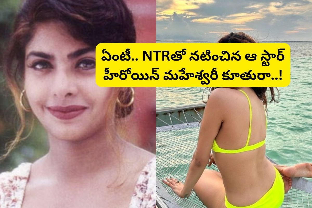 'గులాబీ' సినిమా హీరోయిన్ గుర్తుందా?... ఆమె కూతురు తెలుగులో తోపు హీరోయిన్..!