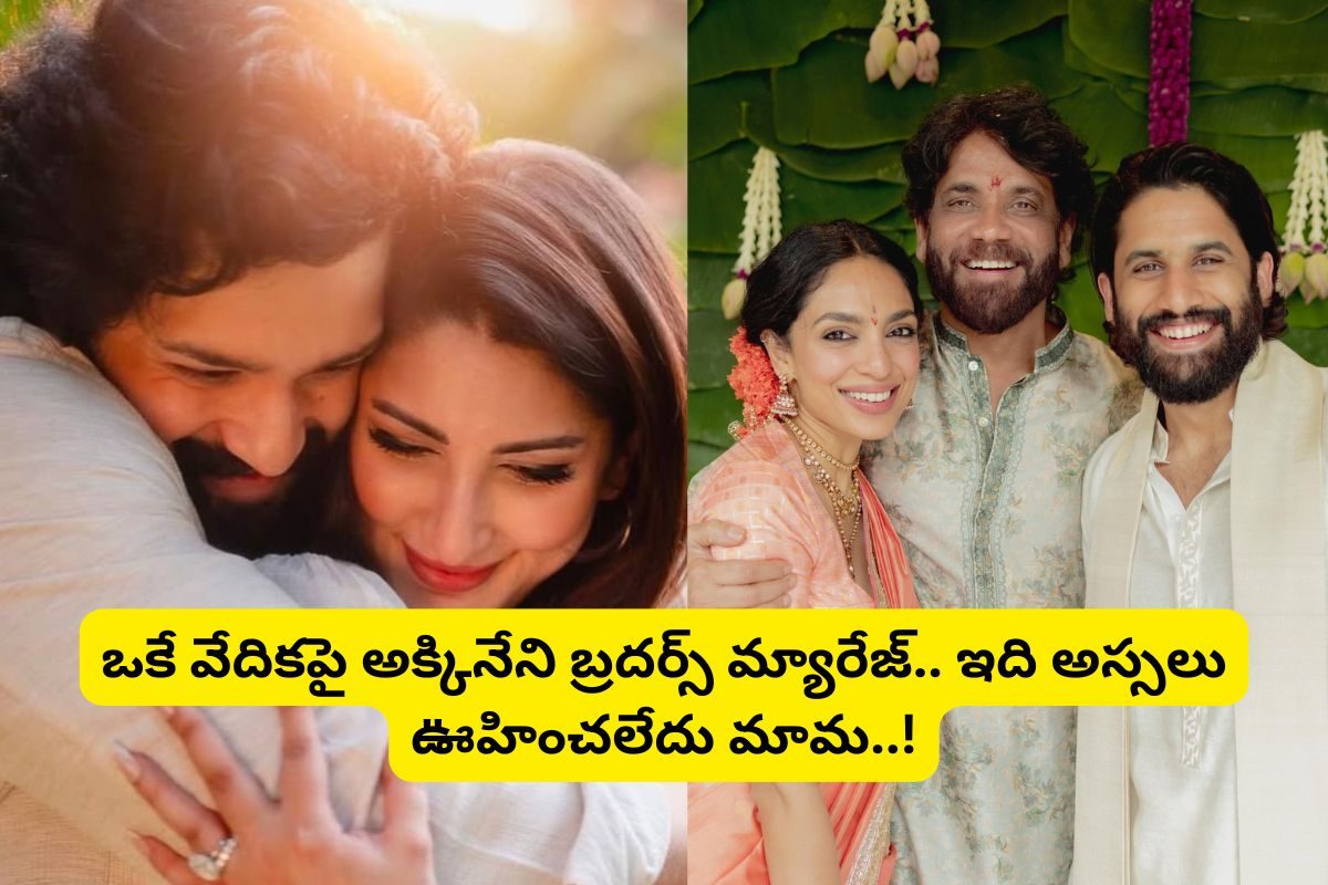 ఒకే వేదికపై అక్కినేని బ్రదర్స్ పెళ్లి?... దిమ్మతిరిగిపోయే ప్లాన్ వేసిన నాగార్జున..!