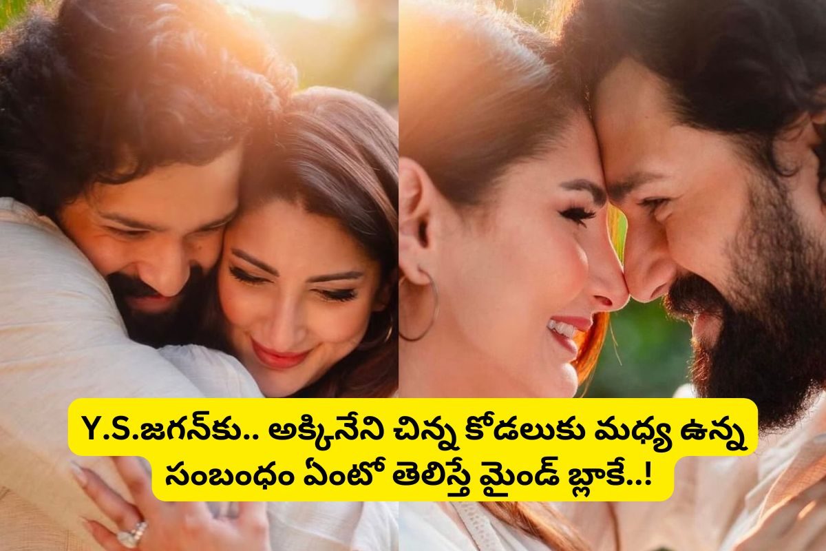 అసలు ఎవరీ జైనాబ్ రవ్జీ?.. అఖిల్ ఎంగేజ్‌మెంట్ చేసుకున్న అమ్మాయి బ్యాక్ గ్రౌండ్ తెలిస్తే ఫసక