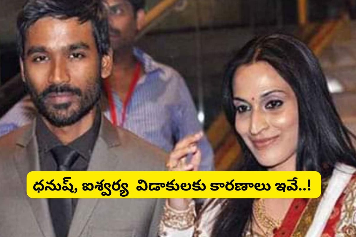 Dhanush: ఎవరి దారి వారిదే అంటున్న రజినీకాంత్ కూతురు.. ధనుష్‌తో విడాకులకు కారణాలు ఇవే..!