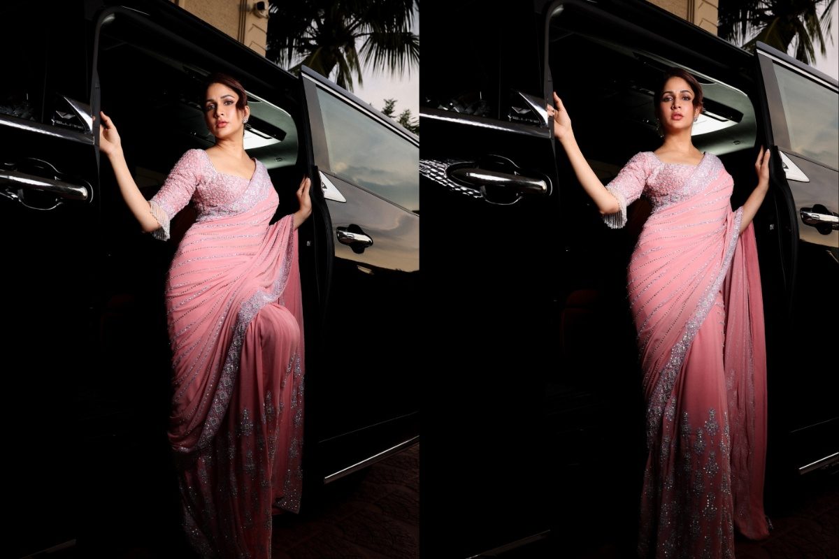 పింక్ చీరలో మెరిసిన మెగా కోడలు.. ఫోటోలు చూస్తే ఆహా అనాల్సిందే!