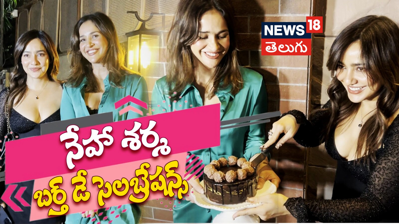 Neha Sharma | నేహా శర్మ బర్త్ డే సెలబ్రేషన్స్