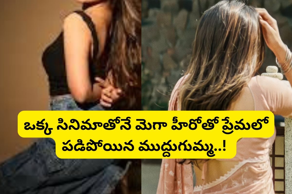 మెగా ఇంటి కోడలిగా మరో స్టార్ హీరోయిన్‌ ఒక్క సినిమాతోనే ఆ హీరోనే పడేసింది త్వరలో పెళ్లి