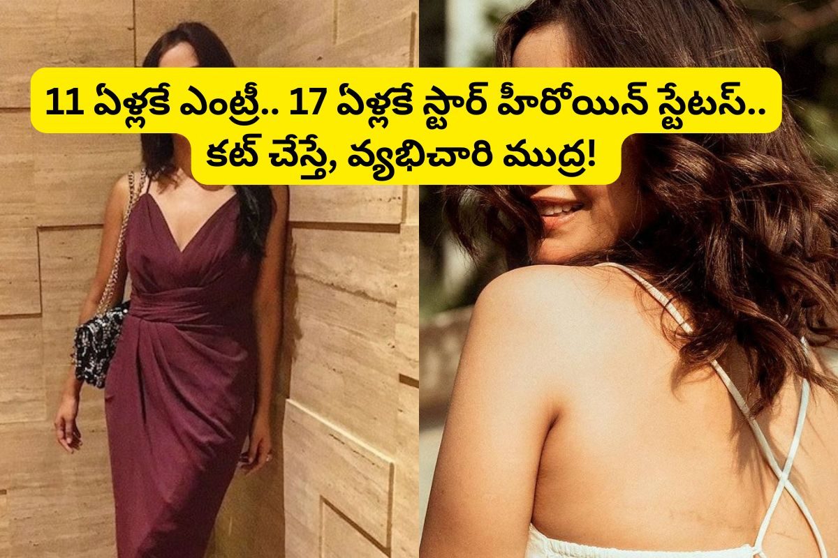11 ఏళ్లకే ఇండస్ట్రీ ఎంట్రీ.. 17 ఏళ్లకే టాలీవుడ్‌ స్టార్ హీరోయిన్.. వ్యభిచారి ముద్రతో కెరీర