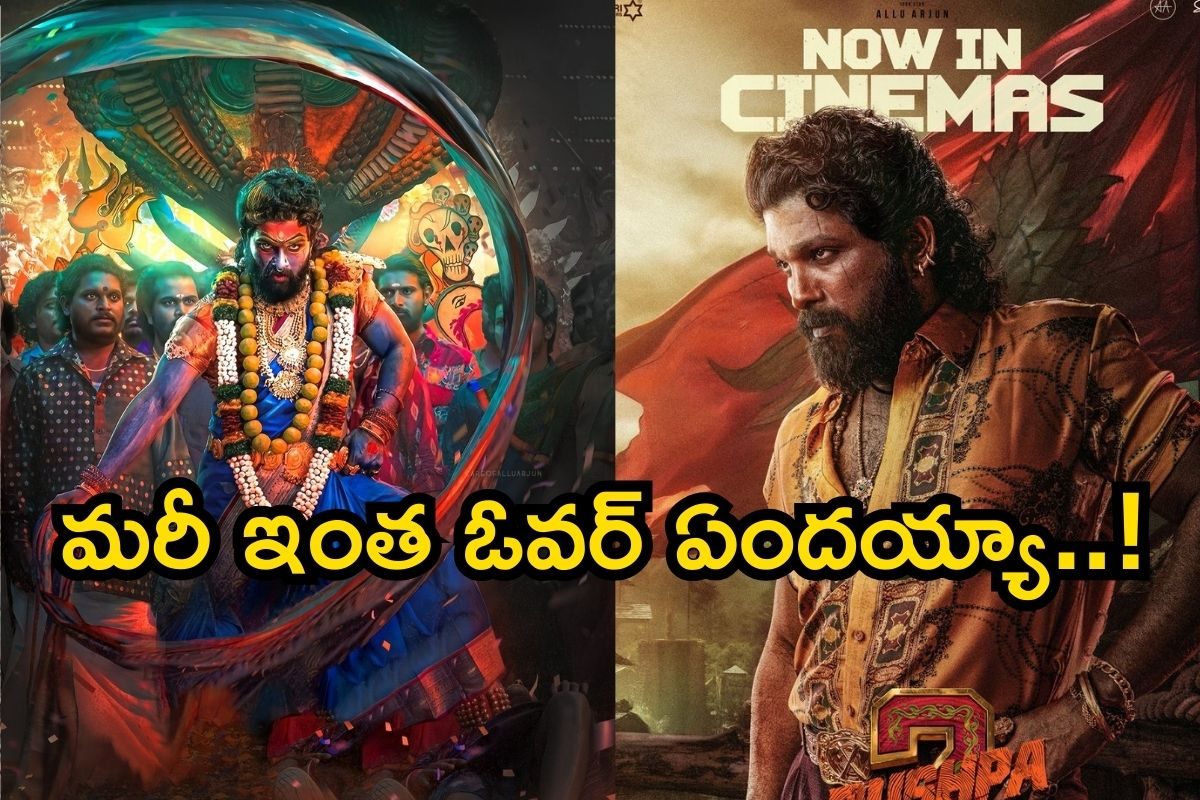 Pushpa 2: పుష్ప- 2 పబ్లిక్ టాక్.. ఆ ఒక్క సీన్ చాలు సినిమాకు! బాక్సాఫీస్ రపరప అంతే..