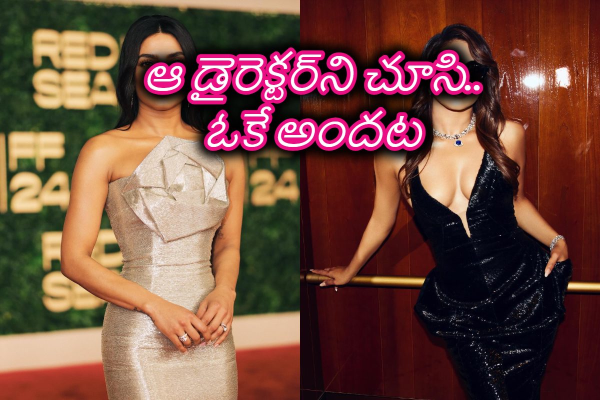 Bollywood Actress:తెలుగు సూపర్ స్టార్‌తో బాలీవుడ్ భామ జోడి.. 6ఏళ్ల గ్యాప్ తర్వాత రీఎంట్రీ