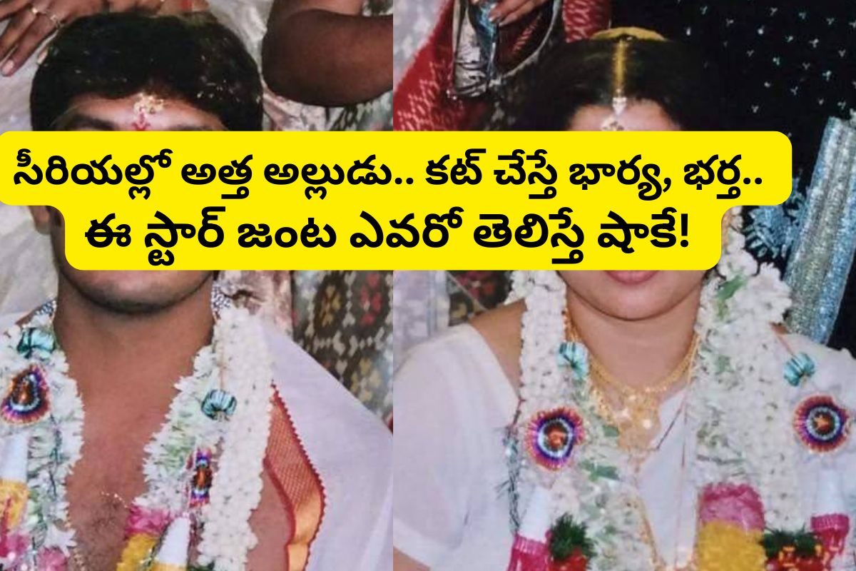 సీరియల్‌లో అత్త అల్లుడు.. ప్రేమించి పెళ్లి చేసుకున్న స్టార్ సెలబ్రిటీ జంట.. ఎవరో తెలుసా?