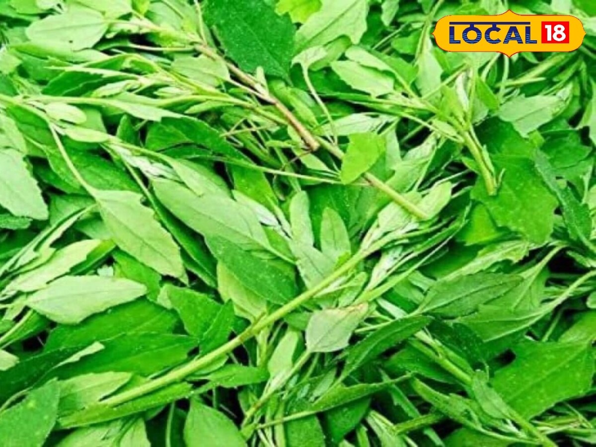 Health Tips : ఈ ఆకుల్లో ఫైబర్ ఎక్కువ.. ఉదయం ఆ పని క్షణాల్లో ...