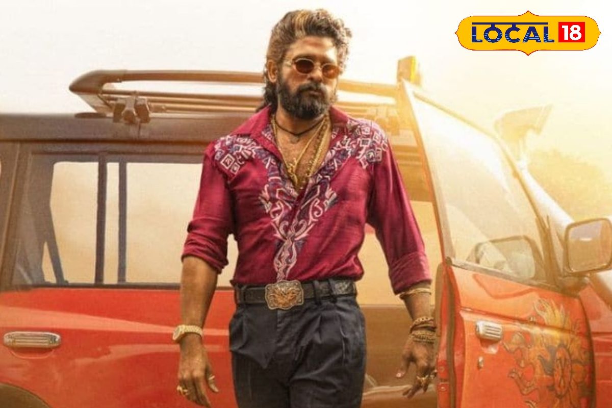 Pushpa 2 Movie: భారీ షాక్.. పుష్ప 2 మూవీ నిలిపివేత..