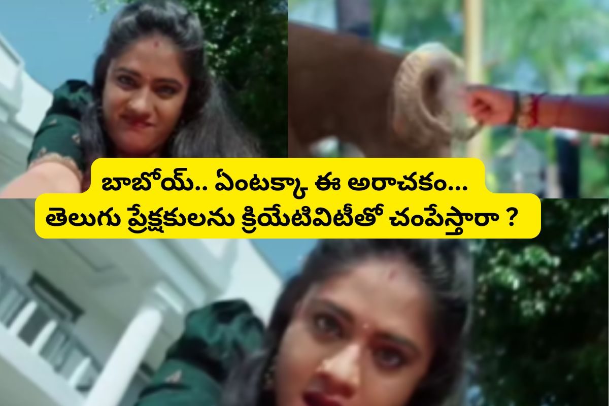 ఓర్నీ.. నీ ముందు బాహుబలి కూడా పనికిరాడు .. ఈ సీరియల్‌ వీడియో చూస్తే నవ్వు ఆగదు!