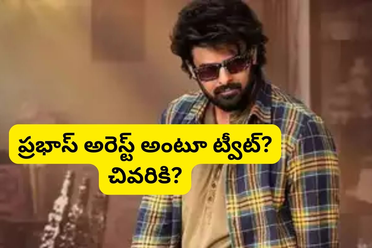 Prabhas Arrest: ప్రభాస్ అరెస్ట్ అయితే? అసలు ఏంటి బ్రో ఇది.. సైకోలుగా మారిపోయారుగా!