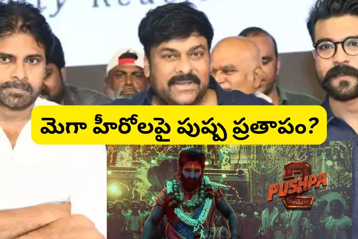 Pushpa Mega Hit: ఇది సార్ బ్రాండ్ అంటే... మెగా హీరోలపై గెలిచిన అల్లు అర్జున్!