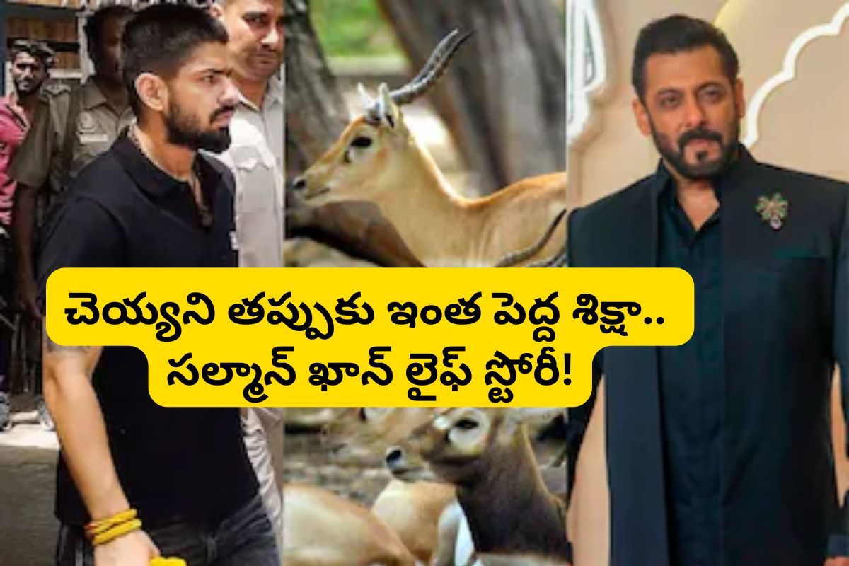 భాయ్‌జాన్ నుంచి బ్లాక్ బ‌క్ కేసు వ‌ర‌కు.. స‌ల్మాన్ ఖాన్ పుట్టిన‌రోజున స్పెష‌ల్ స్టోరీ!