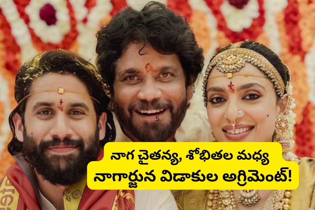 నాగ చైతన్య, శోభితల విడాకుల అగ్రిమెంట్.. బయటకొచ్చిన అక్కినేని ఫ్యామిలీ సీక్రెట్స్!?