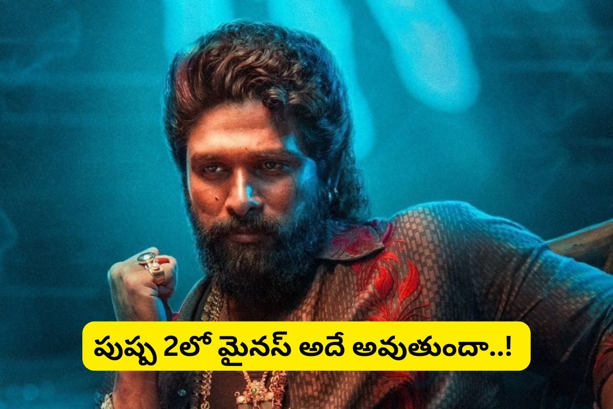 Allu Arjun: పుష్ప 2లో మైనస్ అదే..!