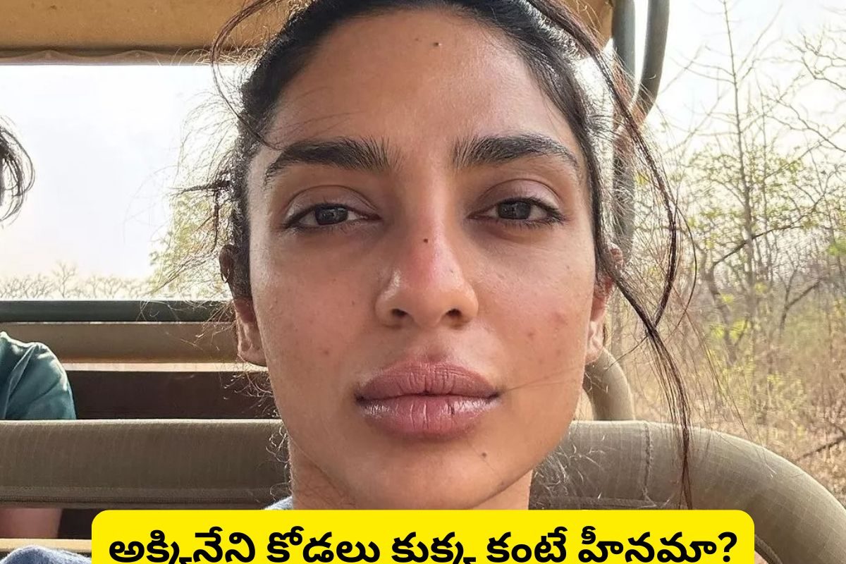 Akkineni: అక్కినేని కోడలు కుక్క కంటే హీనమా? శోభితకు ఘోర అవమానం..