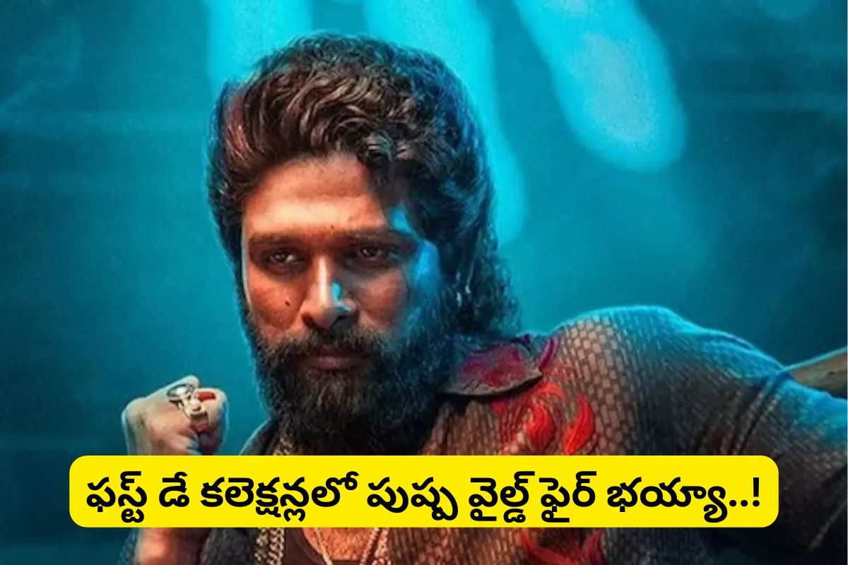 Pushpa 2: రికార్డుల రపరప.. ఫస్ట్ డే కలెక్షన్లలో పుష్ప వైల్డ్ ఫైర్ భయ్యా..!
