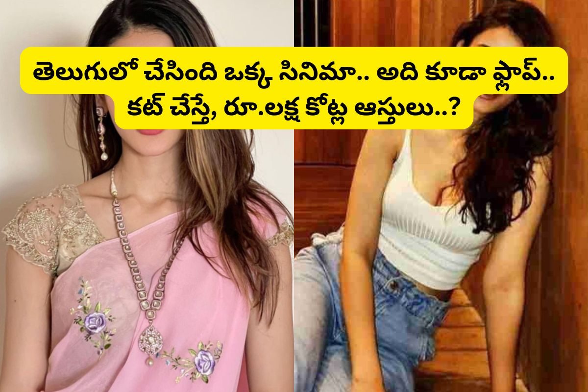 తెలుగులో చేసింది ఒక్క సినిమా.. అది కూడా ఫ్లాప్.. కట్ చేస్తే, లక్ష కోట్ల ఆస్తులు.. ఎవరంటే?