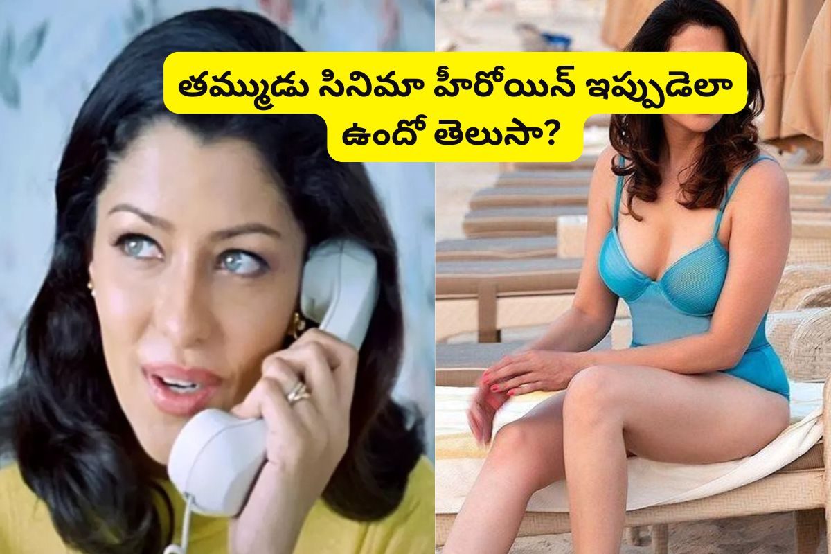 Actress: తమ్ముడు సినిమా హీరోయిన్ గుర్తుందా?.. ఇప్పుడెలా ఉందో చూస్తే ఫ్యూజులు అవుట్..!