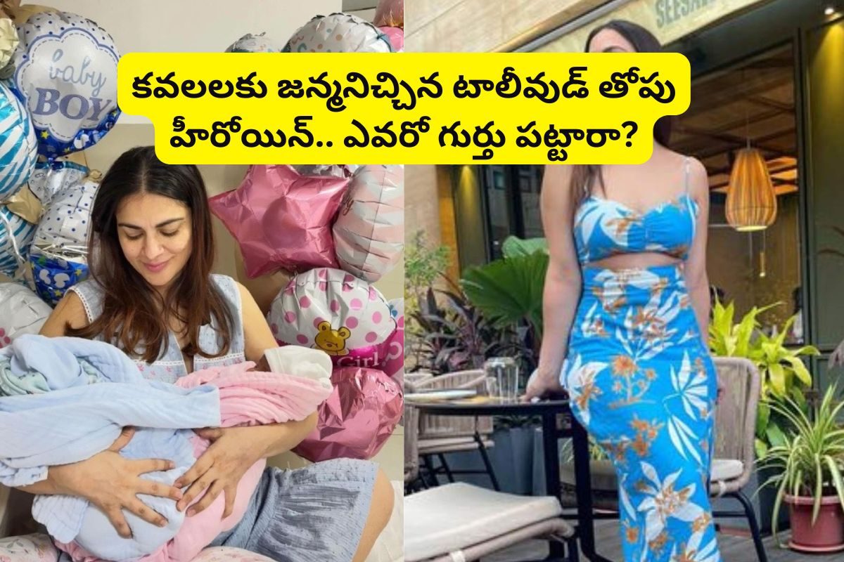 Actress: కవలలకు జన్మనిచ్చిన టాలీవుడ్ తోపు హీరోయిన్ శ్రద్ధా.. ఎవరో గుర్తు పట్టారా?