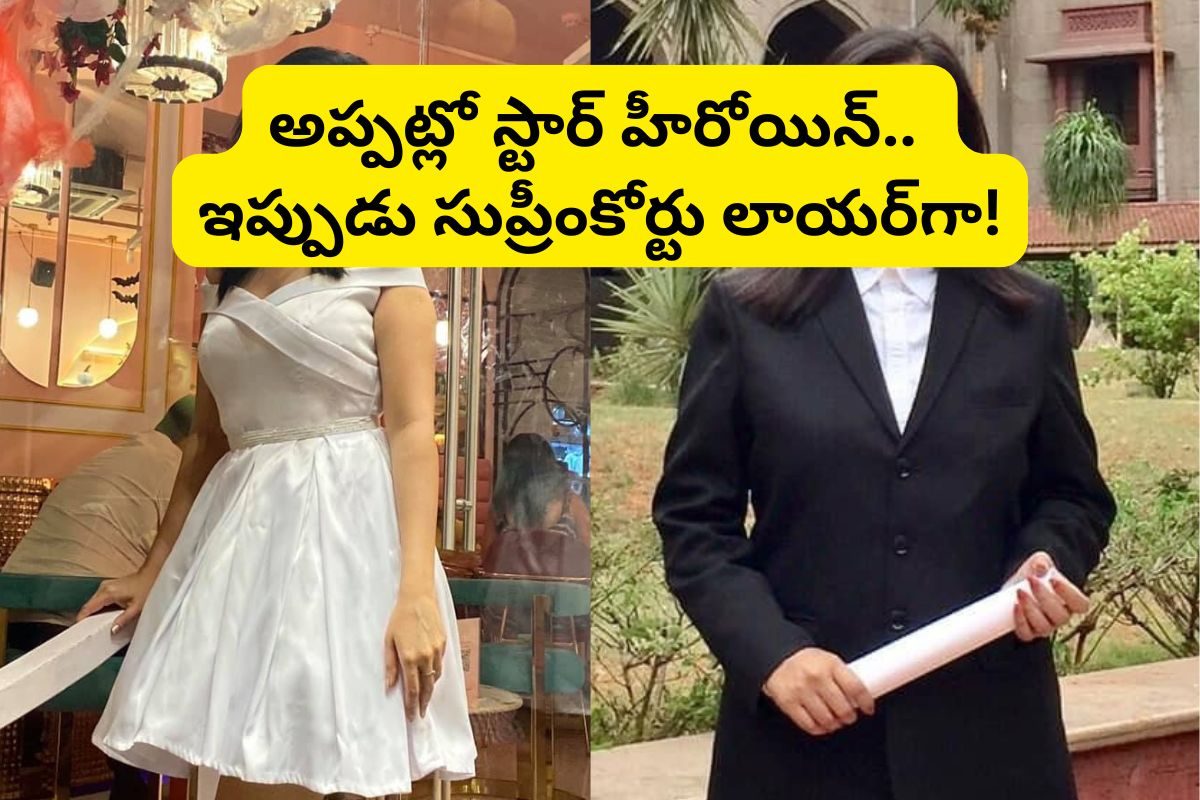 హీరోయిన్‌గా మొదటి సినిమానే హిట్.. ఆ తర్వాత అన్ని ఫ్లాపులే.. ఇప్పుడు సుప్రీంకోర్డు లాయర్‌గా