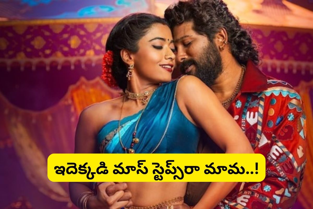 Pushpa 2 Movie: 'పుష్ప2' నుంచి పీలింగ్స్ పాట రిలీజ్.. ఇవెక్కడి మాస్ స్టెప్స్‌రా మామ..!