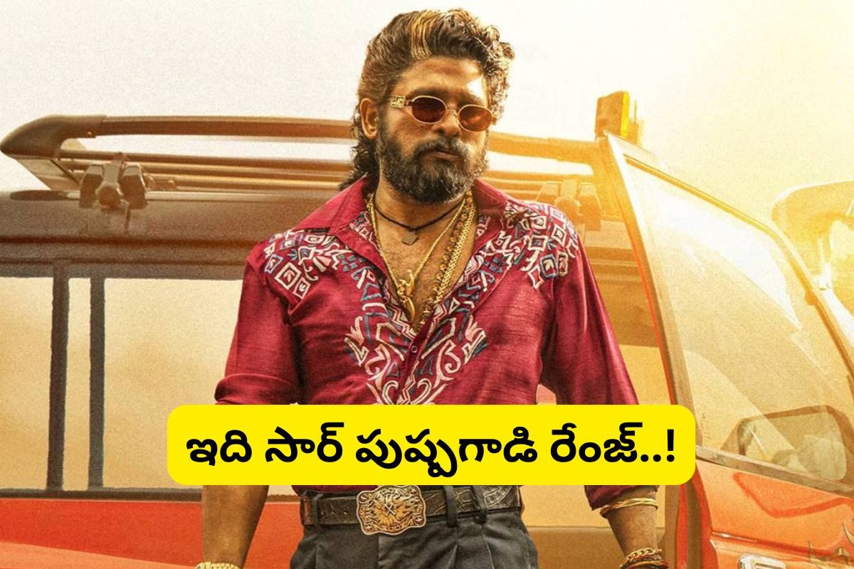 Pushpa 2 Movie: గత్తర లేపుతున్న పుష్ప2 ప్రమోషన్‌లు.. మెట్రోను కూడా వదల్లేదు మామ..!