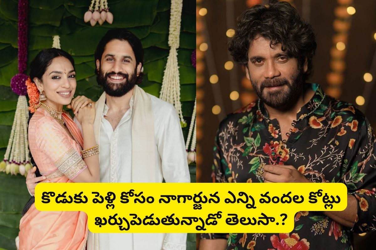 నాగచైతన్య పెళ్లి కోసం నాగార్జున ఎన్ని వందల కోట్లు ఖర్చు చేస్తున్నాడో తెలుసా?