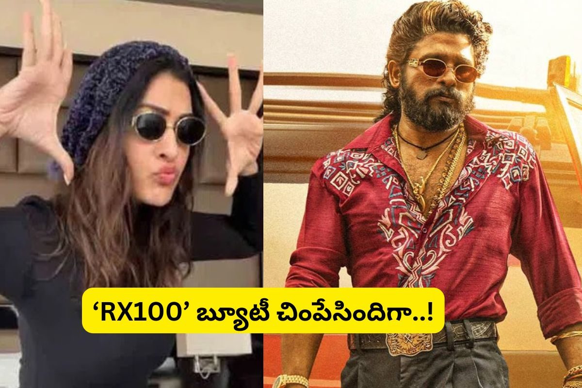 పుష్ప2 డైలాగ్‌తో పిచ్చెక్కించిన RX100 బ్యూటీ... ఇది కదా మచ్చా క్రేజ్ అంటే..!