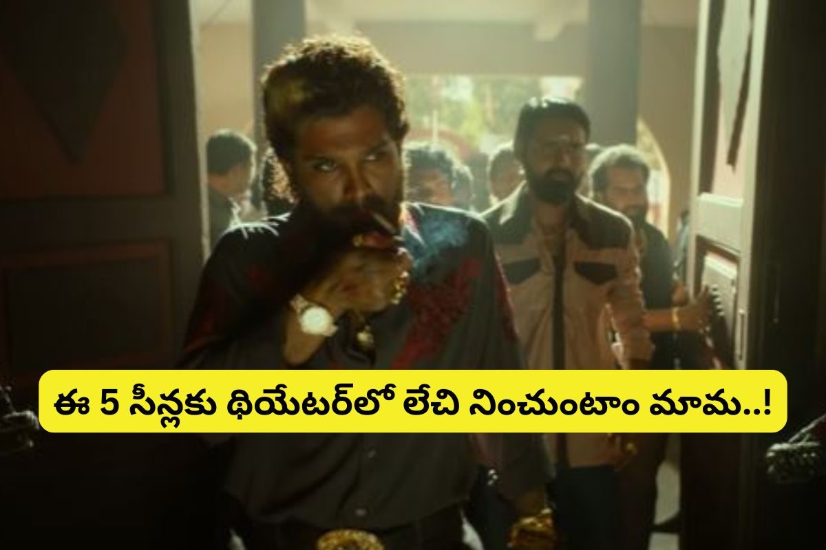 ఆ 5 సీన్లే పుష్ప2ను గట్టేక్కించాయా?... థియేటర్‌లో ఆ సీన్లకు పూనకాలే మామ..!