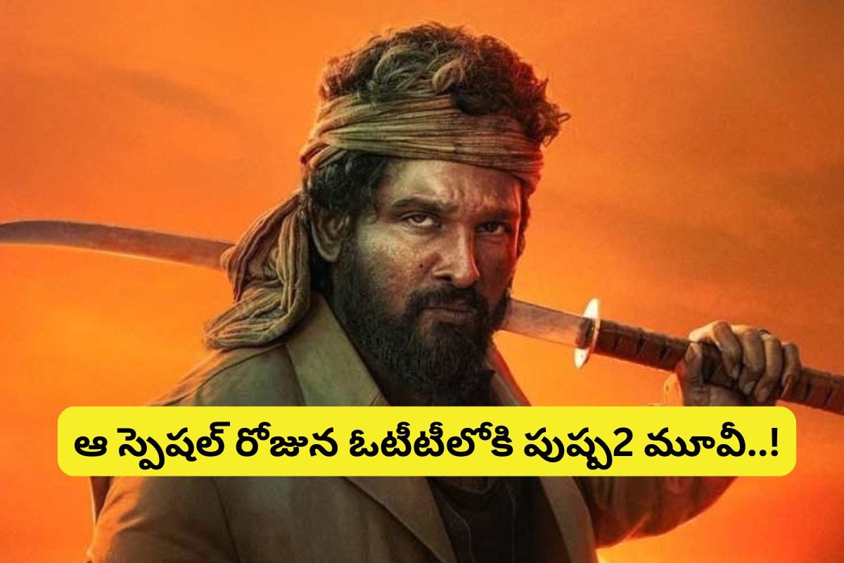 Pushpa 2 Movie: పుష్ప2 మూవీ ఓటీటీ ప్లాట్‌ఫార్మ్ ఇదే.. ఆ స్పెషల్ రోజునే రిలీజ్..!