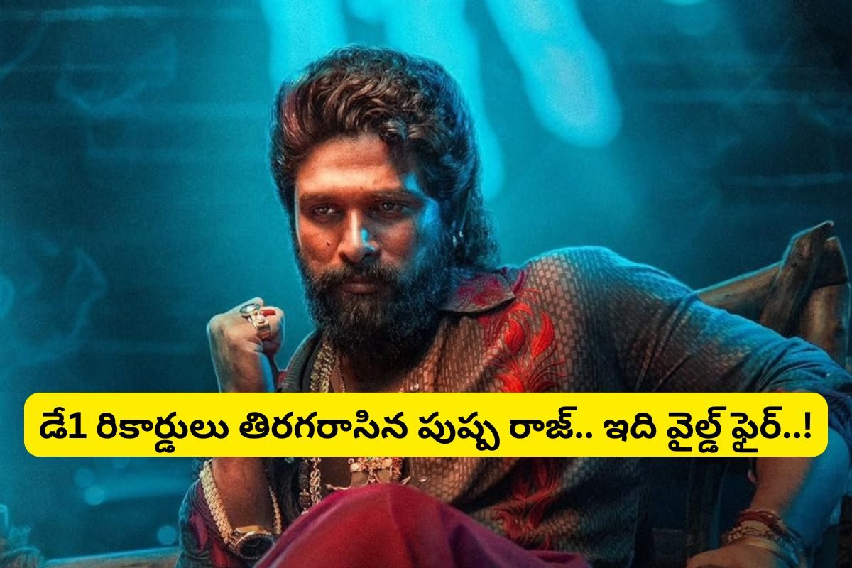 Pushpa 2 Movie: 'పుష్ప2' ఫస్ట్ డే కలెక్షన్లు.. ఇది ఫైర్ కాదు.. వైల్డ్ ఫైర్ మామ..!