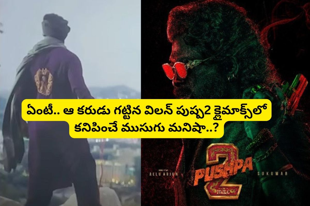 'పుష్ప-2' క్లైమాక్స్‌లో ముసుగు వ్యక్తి ఎవరో తెలుసా?.. విజయ్ దేవరకొండ, ఫాహద్ ఫాజిల్ కాదు!