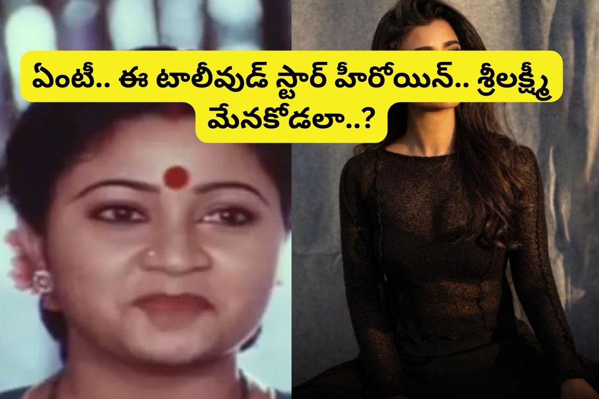 500లకు పైగా సినిమాల్లో నటించిన ఈ లేడీ కమెడియన్ గుర్తుందా?.. ఆమె మేనకోడలు తోపు హీరోయిన్..!