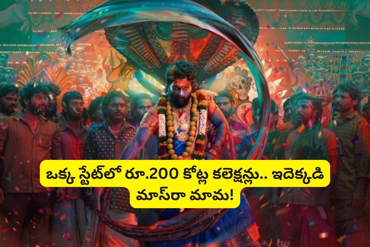 ఒక్క రాష్ట్రంలో రూ.200 కోట్లు.. బాలీవుడ్‌లో 'పుష్ప'గాడి ఊచకోత పూనకాలు తెప్పిస్తుందిగా..!