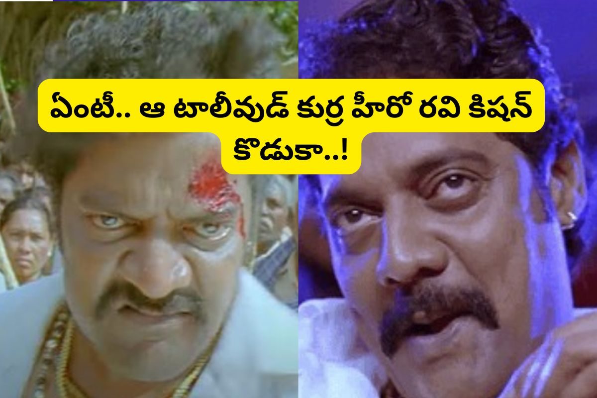 'రామయ్య వస్తావయ్య' సినిమా విలన్ గుర్తున్నాడా?... ఆయన కొడుకు తెలుగులో తోపు హీరో..!