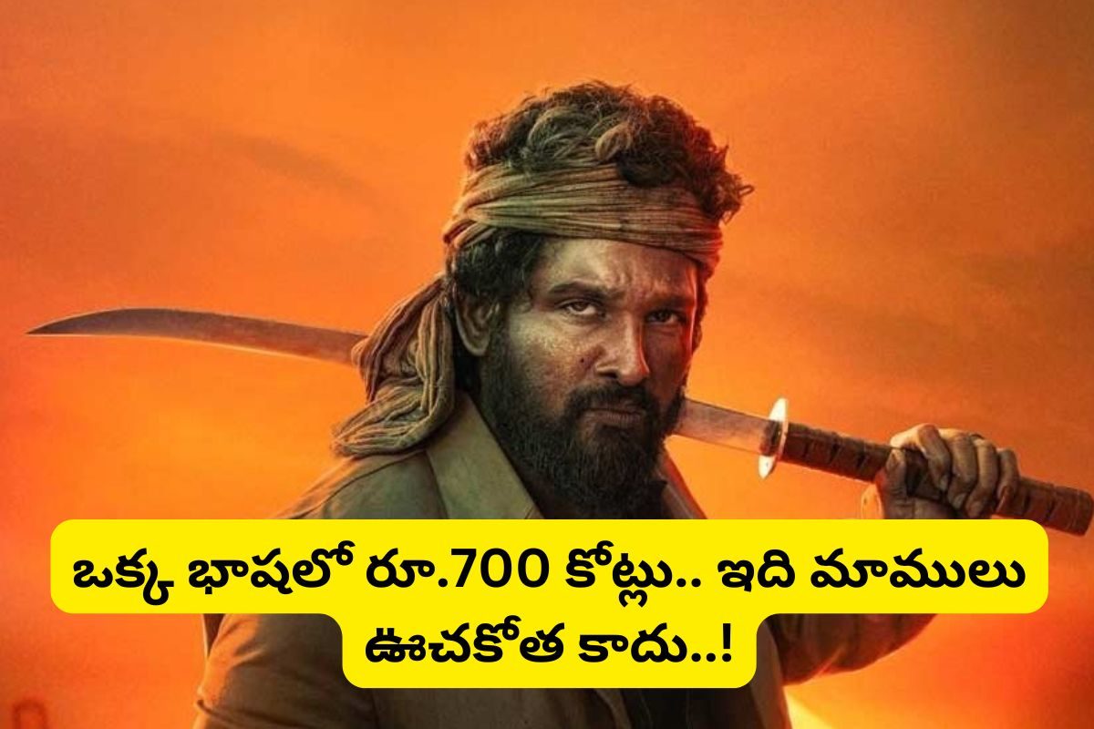 Pushpa 2 Movie: ఒక్క భాషలో రూ.700 కోట్లు... 'పుష్ప'గాడి ఊచకోత పూనకాలు తెప్పిస్తుందిగా..!