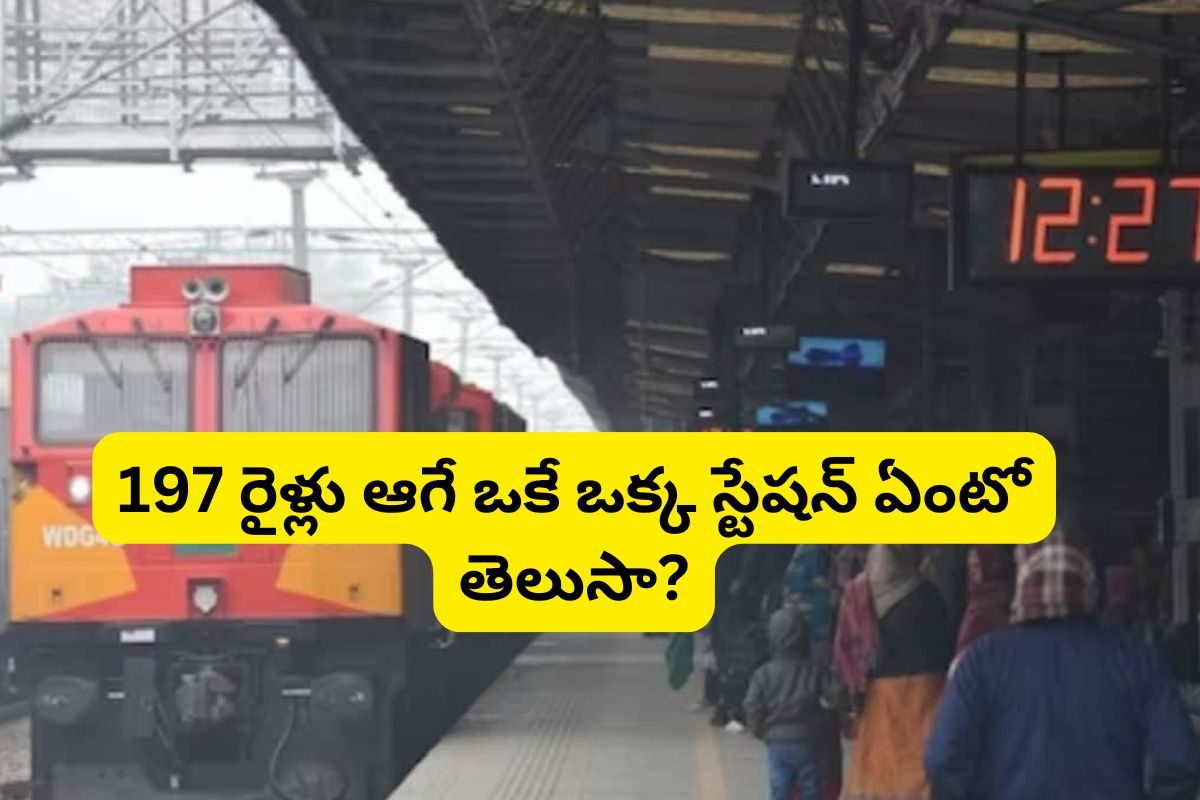 197 రైళ్లు ఆగే ఒకే ఒక్క స్టేషన్ ఏంటో తెలుసా? ఇక్కడ ట్రైన్ ఎక్కితే దేశంలో ఎక్కడికైనా పోవచ్చ