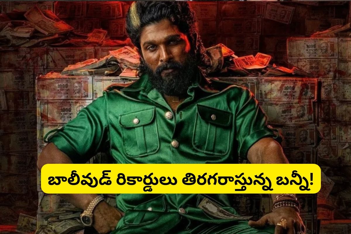 Pushpa 2 Movie: బాలీవుడ్‌లో 'పుష్ప' గాడి తాండవం... చరిత్ర సృష్టించిన అల్లు అర్జున్..!