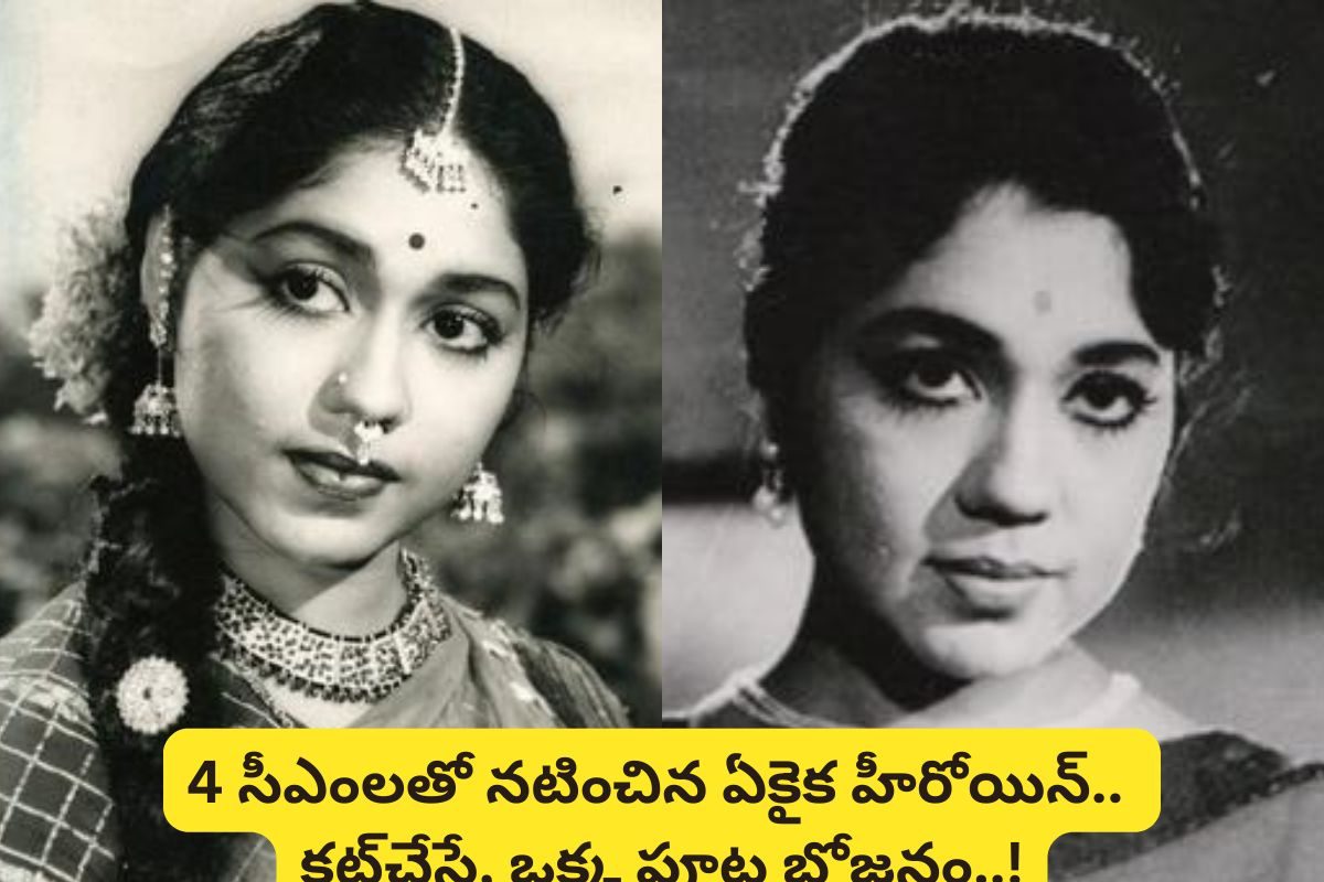 Star Actress: 4 ముఖ్యమంత్రులతో నటించిన తెలుగు స్టార్ హీరోయిన్.. వందల కోట్ల ఆస్తులు.. కట్‌చ