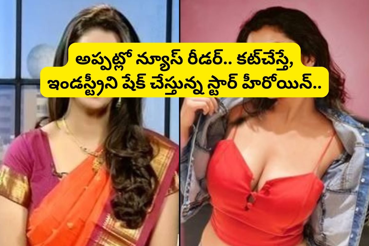 Star Actress: ఒకప్పుడు న్యూస్ రీడర్.. ఇప్పుడు ఇండస్ట్రీని షేక్ చేస్తున్న స్టార్ హీరోయిన్..