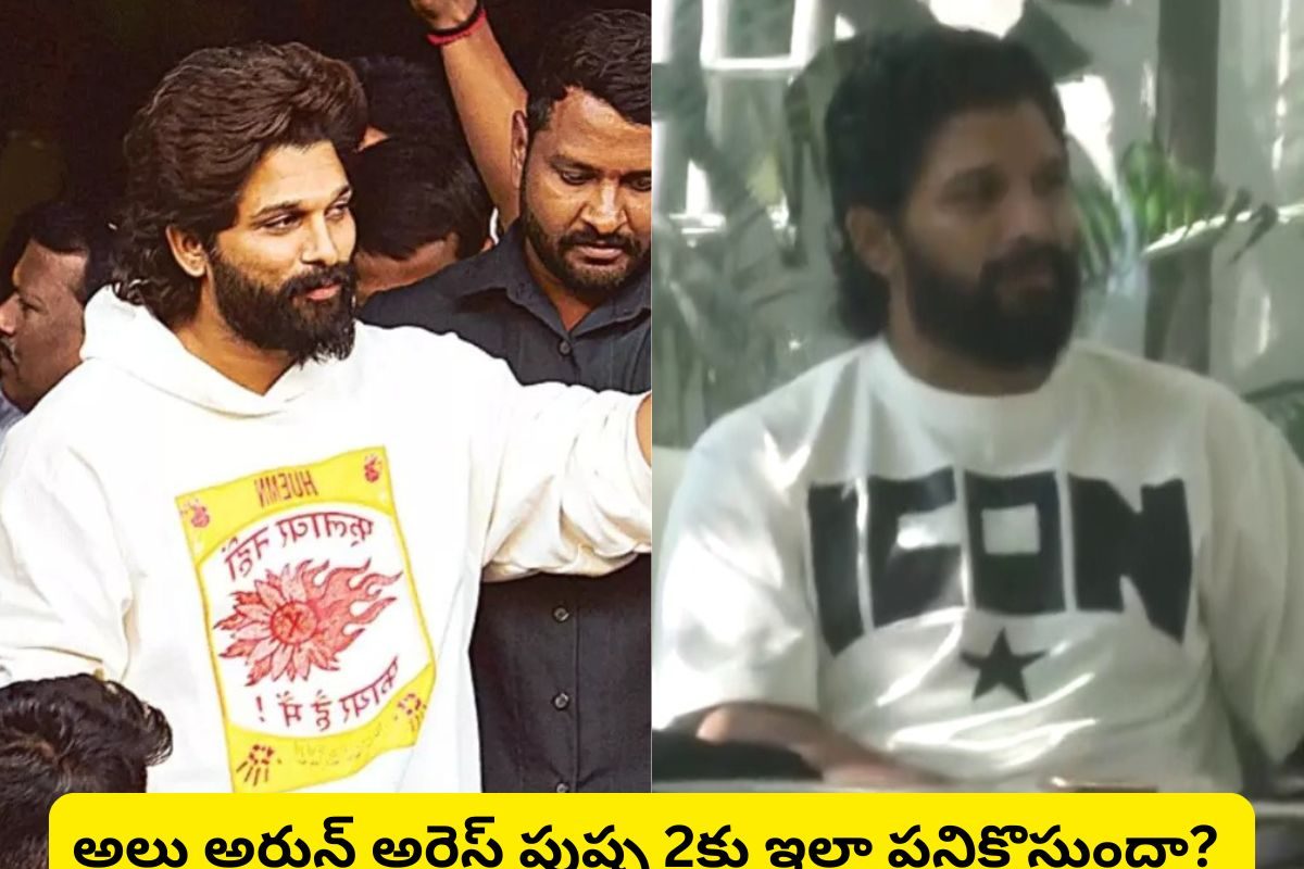 Allu Arjun: అల్లు అర్జున్‌కు అరెస్ట్ కూడా లాభమేనా?.. ఇది పుష్పకు ఫ్లస్ అవనుందా?